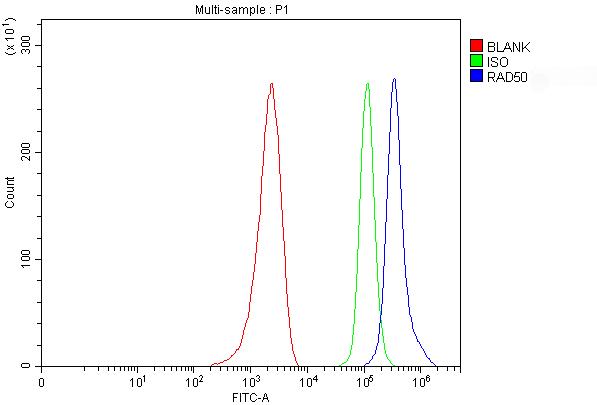 a00347 2 rad50 primary antibodies fcm testing 1