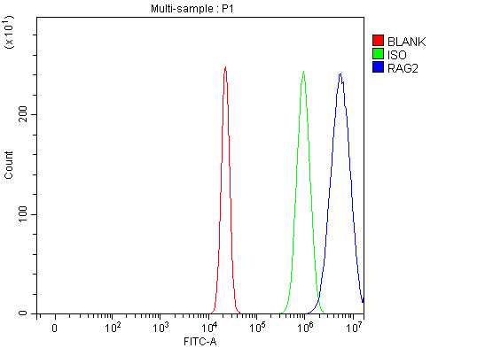 a00352 rag2 primary antibodies fcm testing 2
