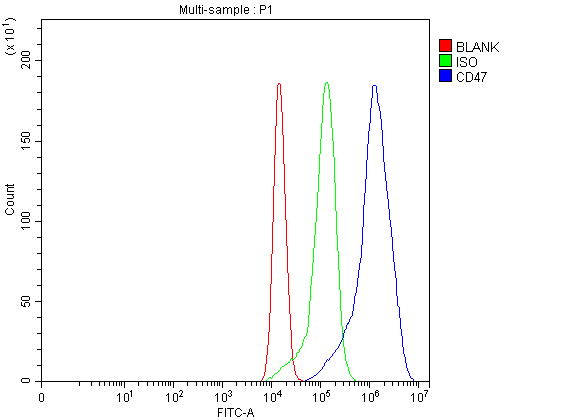 Flow Cytometry analysis of A549 cells using anti-CD47 antibody (A00360-1)