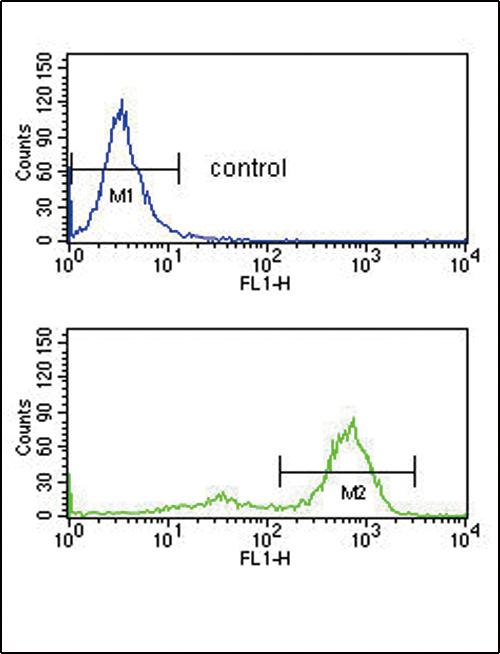 ETV6 Antibody (N-term) flow cytometry analysis of K562 cells (bottom histogram) compared to a negative control cell (top histogram)