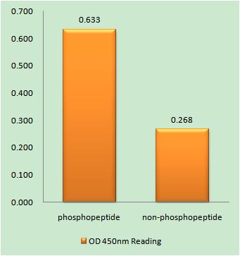 a00368y151 nos2 primary antibodies elisa testing 1
