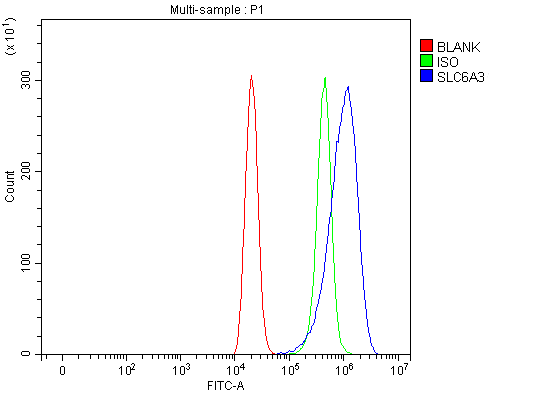  Flow Cytometry analysis of THP-1 cells using anti-Dopamine Transporter/SLC6A3 antibody (A00369-3)