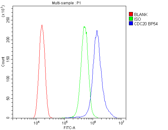 Flow Cytometry analysis of SiHa cells using anti-Cdc20 antibody (A00382-1). Overlay histogram showing SiHa cells stained with A00382-1 (Blue line).The cells were blocked with 10% normal goat serum. And then incubated with rabbit anti-Cdc20 Antibody (A00382-1,1μg/1x106 cells) for 30 min at 20°C. DyLight®488 conjugated goat anti-rabbit IgG (BA1127, 5-10μg/1x106 cells) was used as secondary antibody for 30 minutes at 20°C. Isotype control antibody (Green line) was rabbit IgG (1μg/1x106) used under the same conditions. Unlabelled sample (Red line) was also used as a control.
