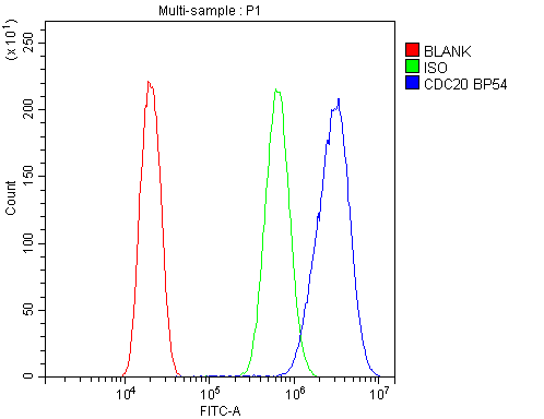 a00382 1 cdc20 primary antibodies fc testing 9
