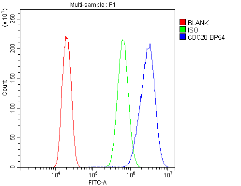 Flow Cytometry analysis of U20S cells using anti-Cdc20 antibody (A00382-1). Overlay histogram showing U20S cells stained with A00382-1 (Blue line).The cells were blocked with 10% normal goat serum. And then incubated with rabbit anti-Cdc20 Antibody (A00382-1,1μg/1x106 cells) for 30 min at 20°C. DyLight®488 conjugated goat anti-rabbit IgG (BA1127, 5-10μg/1x106 cells) was used as secondary antibody for 30 minutes at 20°C. Isotype control antibody (Green line) was rabbit IgG (1μg/1x106) used under the same conditions. Unlabelled sample (Red line) was also used as a control.