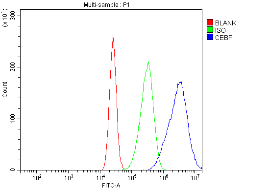  Flow Cytometry analysis of CACO-2 cells using anti-CEBP Alpha/CEBPA antibody (A00386-1)