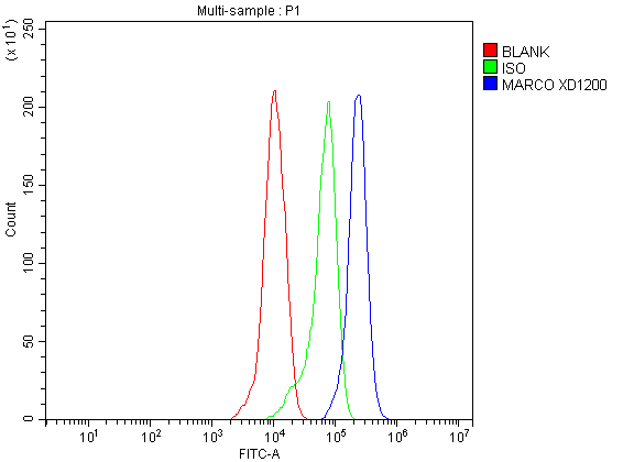  Flow Cytometry analysis of THP-1 cells using anti-MARCO antibody (A00391-3)