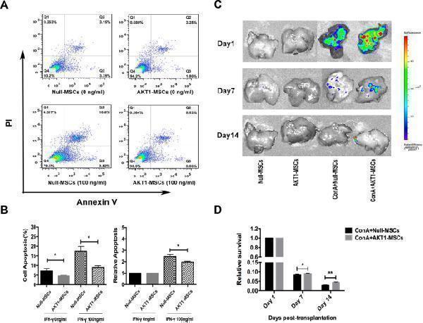 a00393 3 12575_2019_112_fig3_html