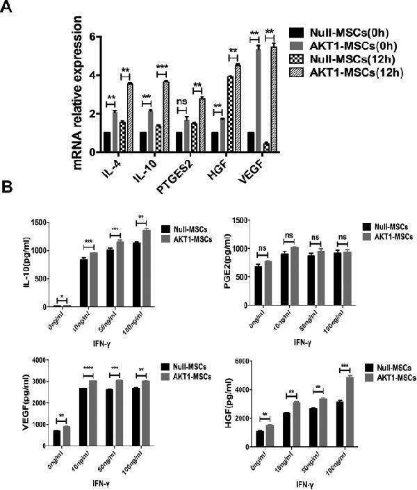 a00393 3 12575_2019_112_fig4_html