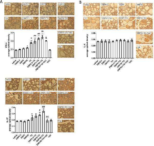 a00393 3 41598_2017_15533_fig2_html