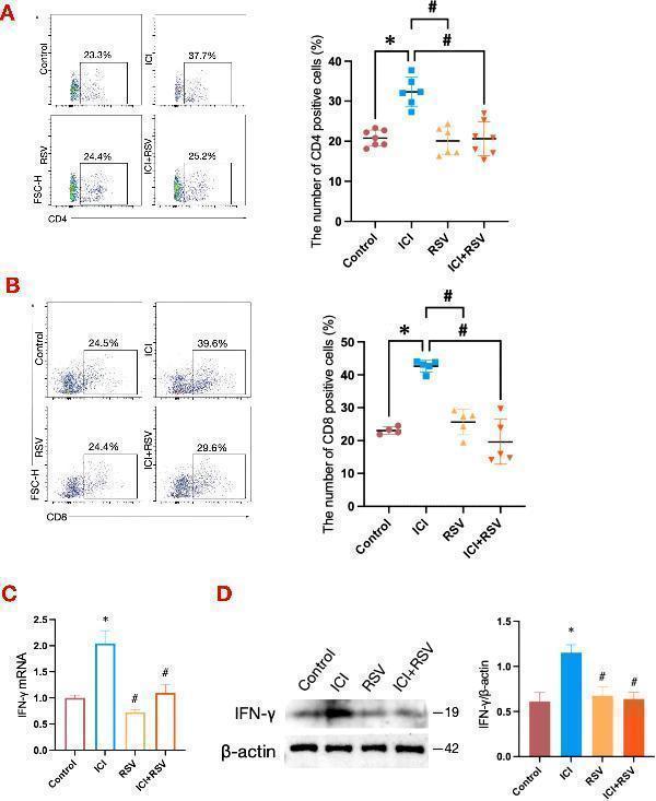 a00393 3 fimmu 16 1529991 g002