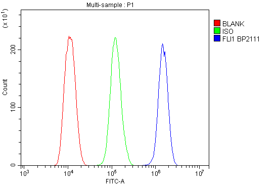 a00399 fli1 primary antibodies fc testing 4