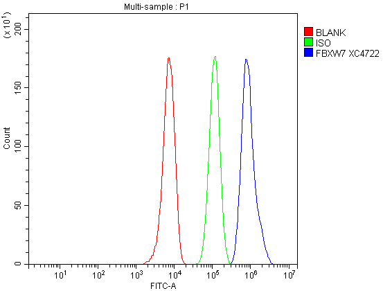 Flow Cytometry analysis of HepG2 cells using anti-FBXW7 antibody (A00406-2)