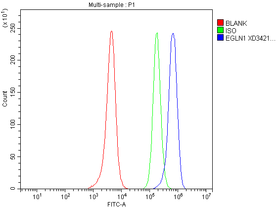 Flow Cytometry analysis of SH-SY5Y cells using anti-PHD2/EGLN1 antibody (A00415-1)