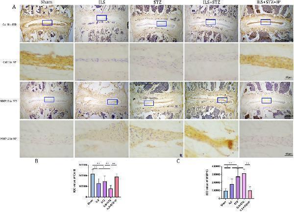 a00420 2 fbioe 13 1639117 g009