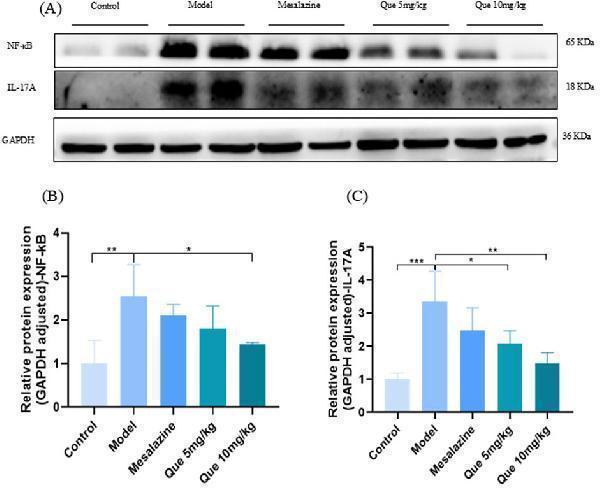 a00421 2 fphar 15 1485255 g007