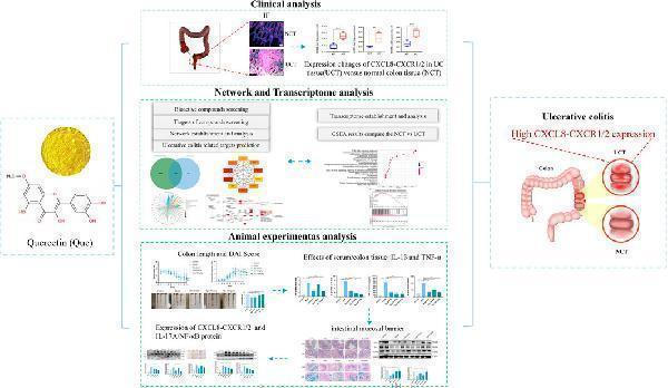 a00421 2 fphar 15 1485255 g008