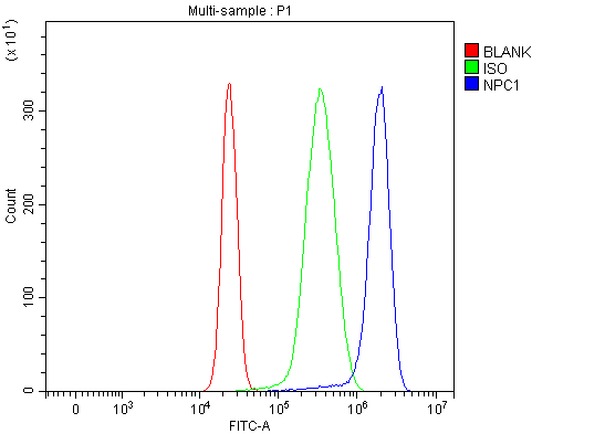  Flow Cytometry analysis of HepG2 cells using anti-Niemann Pick C1/NPC1 antibody (A00428-3)