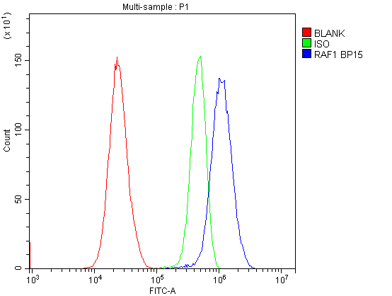  Flow Cytometry analysis of HeLa cells using anti-Raf1 antibody (A00446-1)