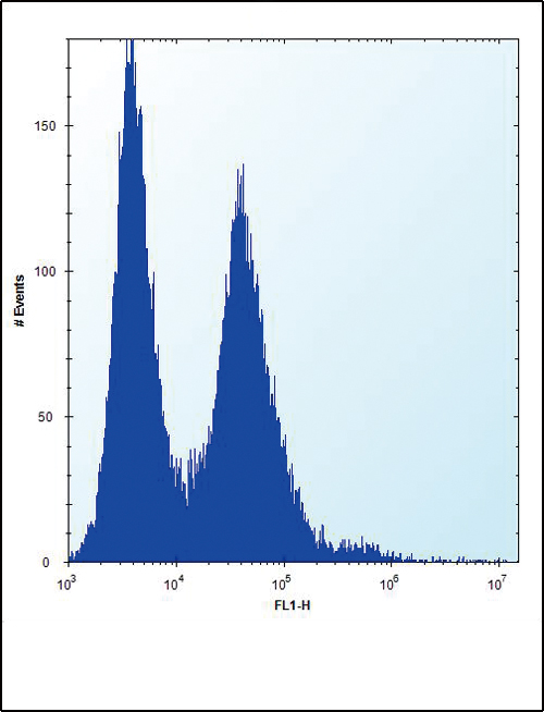 a00450 anti npm1 antibody n term fc testing 4