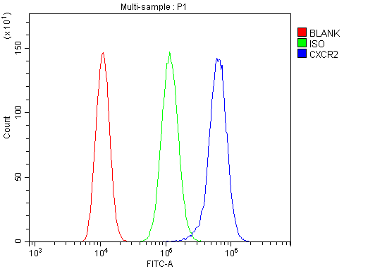 a00455 2 cxcr2 primary antibodies fcm testing 4