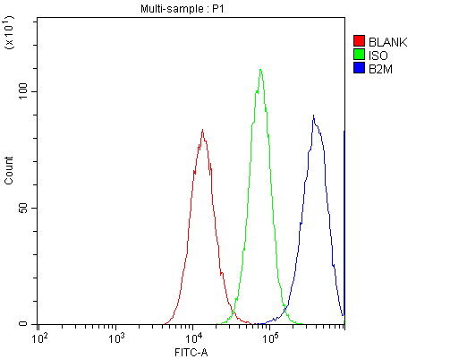 a00456 1 b2m primary antibodies fc testing 6_1