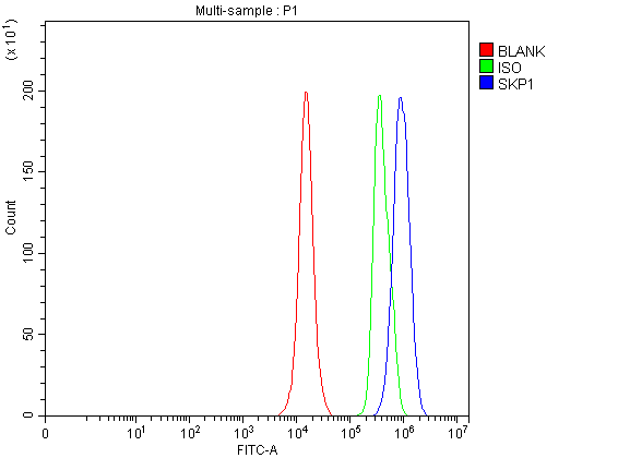 a00476 2 skp1 primary antibodies fcm testing 4