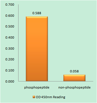 a00480y453 cd5 primary antibodies elisa testing 1