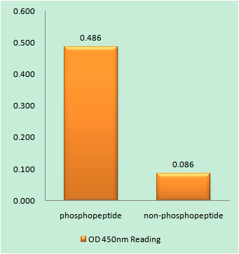 a00482s87 xiap primary antibodies elisa testing 1