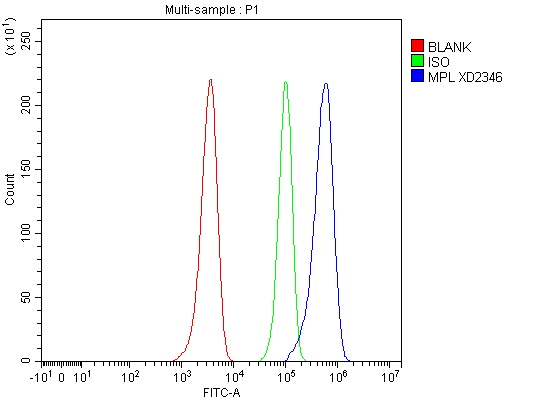 Flow Cytometry analysis of HEL cells using anti-TPOR/MPL antibody (A00483-2)