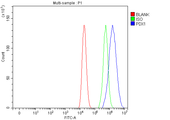  Flow Cytometry analysis of Caco-2 cells using anti-PDX1 antibody (A00491-4)
