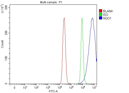 a00494 2 nqo1 primary antibodies fcm testing 3