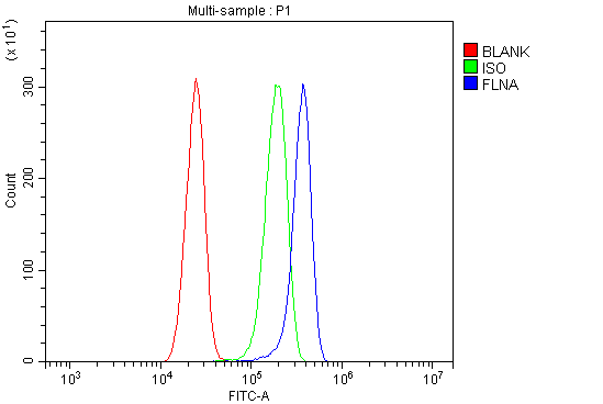 a00502 1 flna primary antibodies fcm testing 9