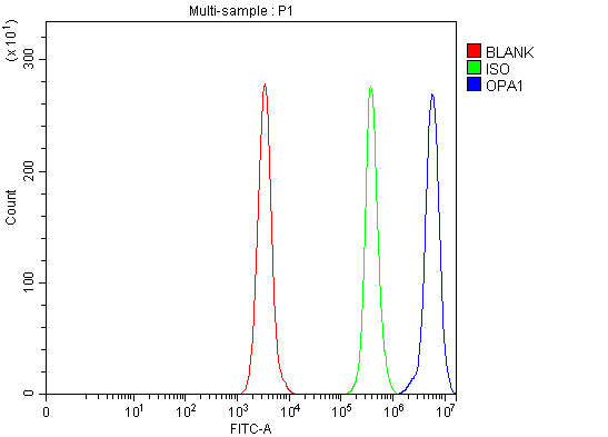 a00508 1 opa1 primary antibodies fcm testing 3