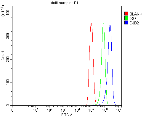  Flow Cytometry analysis of PC-3 cells using anti-GJB2 antibody (A00512-2)