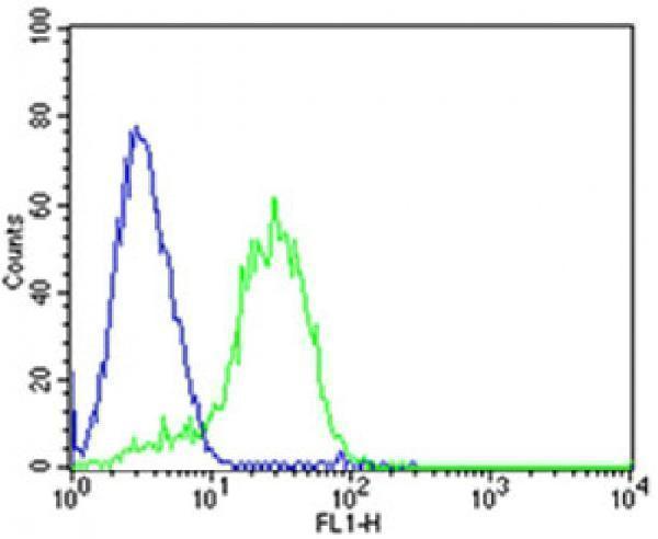 a00513 3 anti dlk1 antibody c term fc testing 3