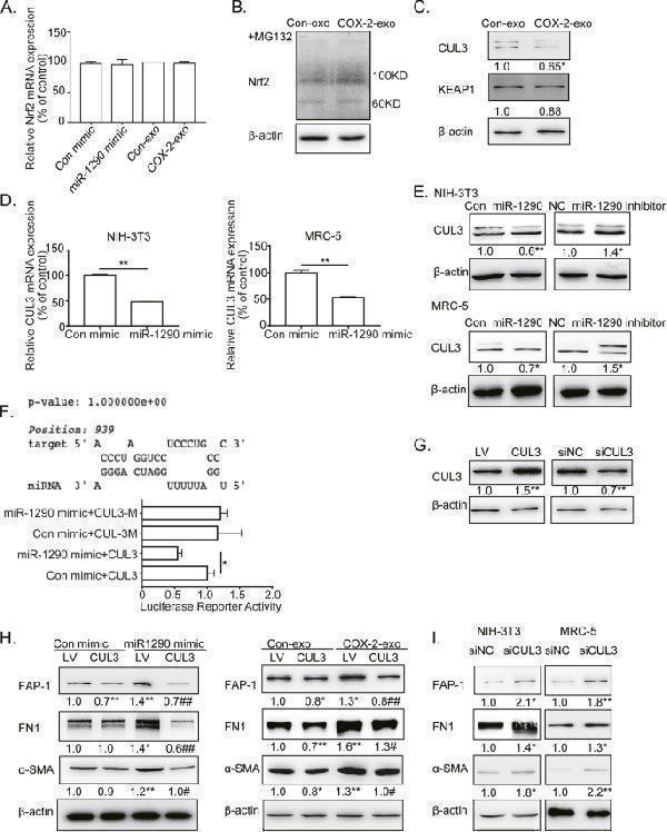 a00514 3 12964_2023_1268_fig5_html