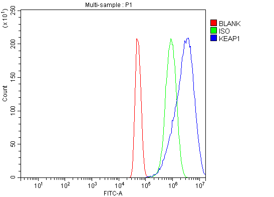 a00514 3 keap1 primary antibodies fcm testing 3