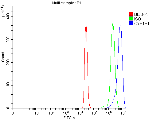  Flow Cytometry analysis of THP-1 cells using anti-CYP1B1 antibody (A00515)