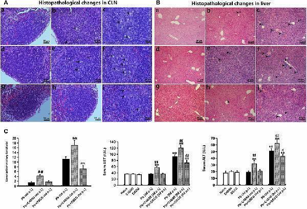 a00533 fcimb 09 00322 g003