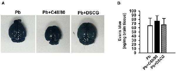a00533 fcimb 09 00322 g005