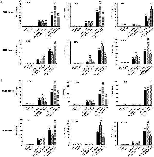 a00533 fcimb 09 00322 g008