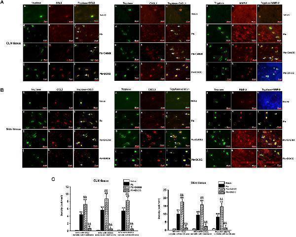 a00533 fcimb 09 00322 g009