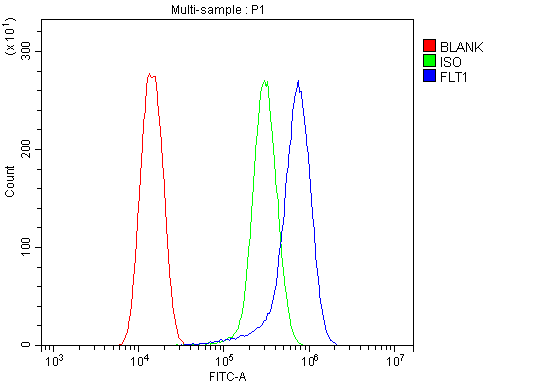 Flow Cytometry analysis of U20S cells using anti-FLT1 antibody (A00534-4)