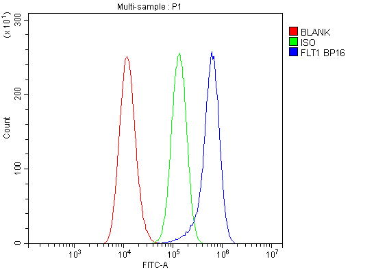  Flow Cytometry analysis of A549 cells using anti-VEGF Receptor 1/FLT1 antibody (A00534)