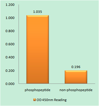 a00534y1333 1 flt1 primary antibodies elisa testing 1