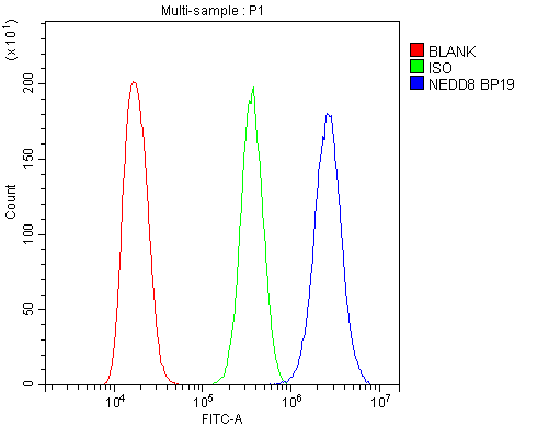 Flow Cytometry analysis of A431 cells using anti-NEDD8 antibody (A00547). Overlay histogram showing A431 cells stained with A00547 (Blue line).The cells were blocked with 10% normal goat serum. And then incubated with rabbit anti-NEDD8 Antibody (A00547,1μg/1x106 cells) for 30 min at 20°C. DyLight®488 conjugated goat anti-rabbit IgG (BA1127, 5-10μg/1x106 cells) was used as secondary antibody for 30 minutes at 20°C. Isotype control antibody (Green line) was rabbit IgG (1μg/1x106) used under the same conditions. Unlabelled sample (Red line) was also used as a control.