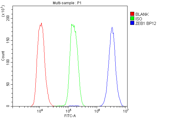 a00548 2 zeb1 primary antibodies fc testing 5