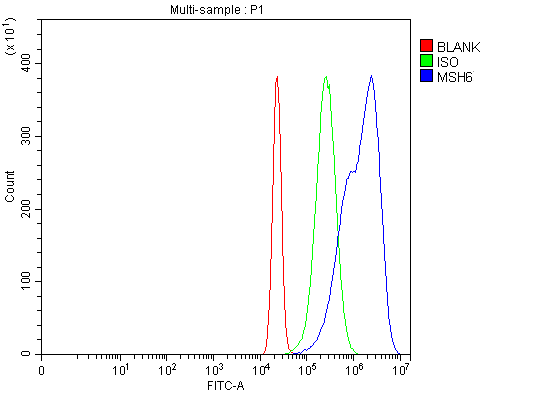  Flow Cytometry analysis of Hela cells using anti-MSH6 antibody (A00553-3)