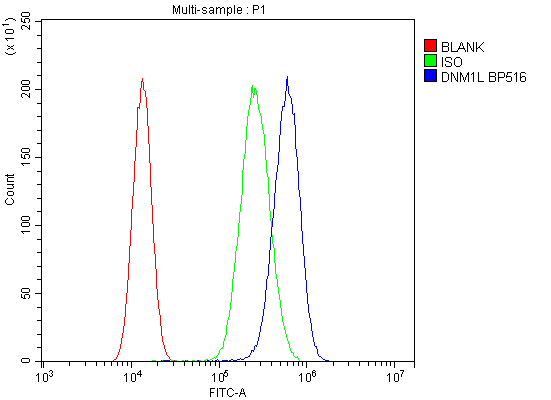 a00556 2 dnm1l primary antibodies fcm testing 12